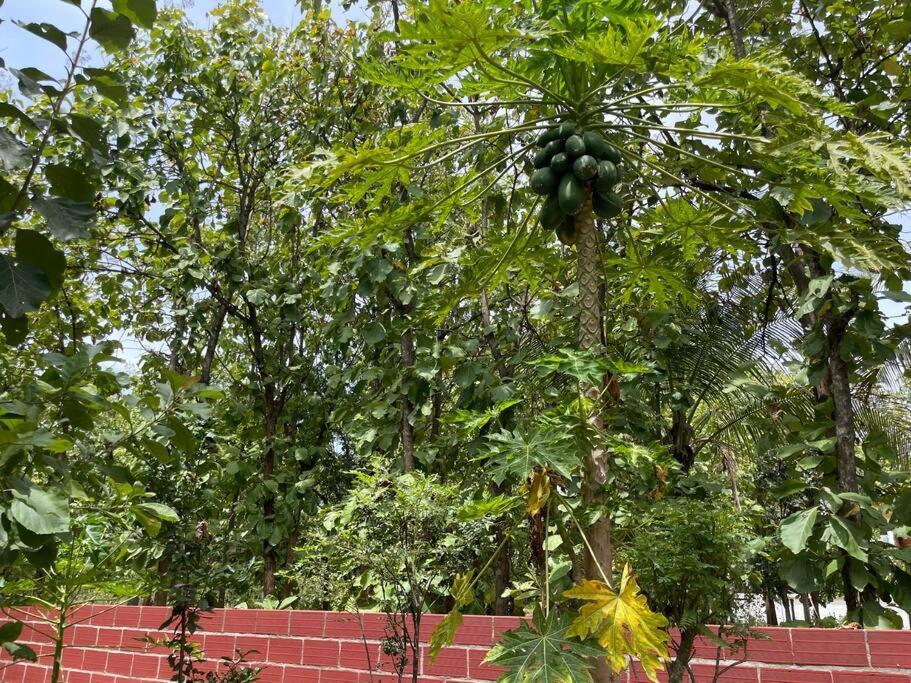 'Vrindavan' In Heritage City Mysuru Eksteriør bilde